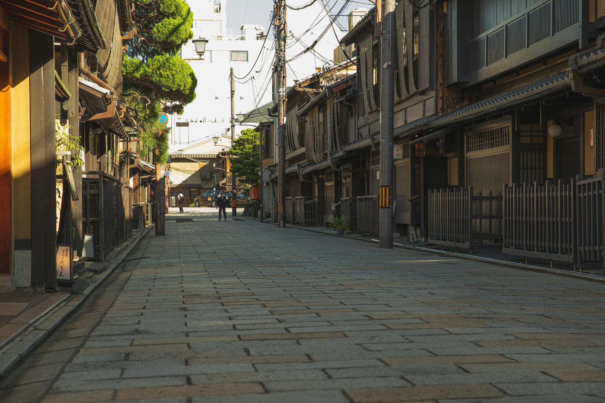 pexels-ryutaro-5746236