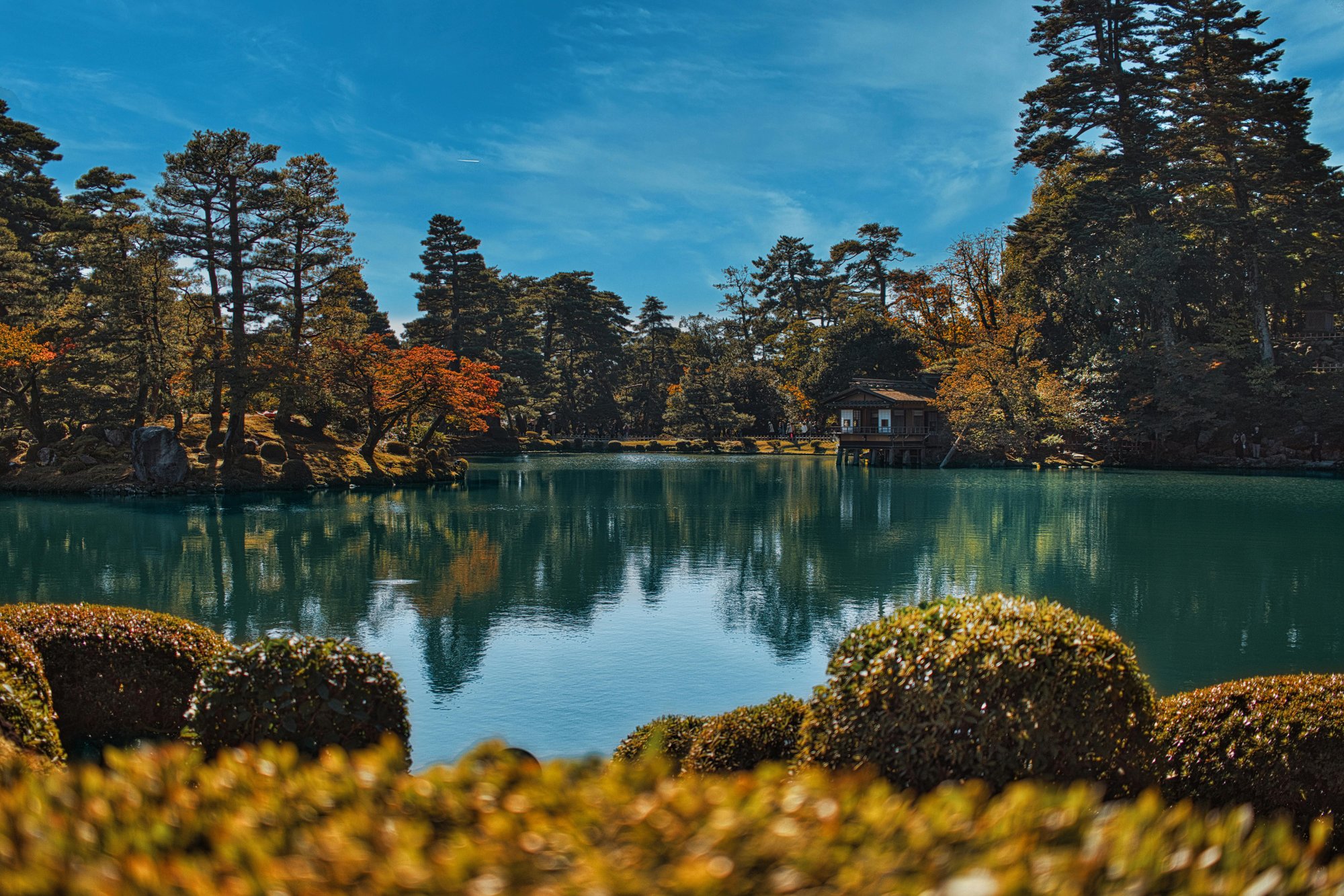 pexels-shottrotter-29393696