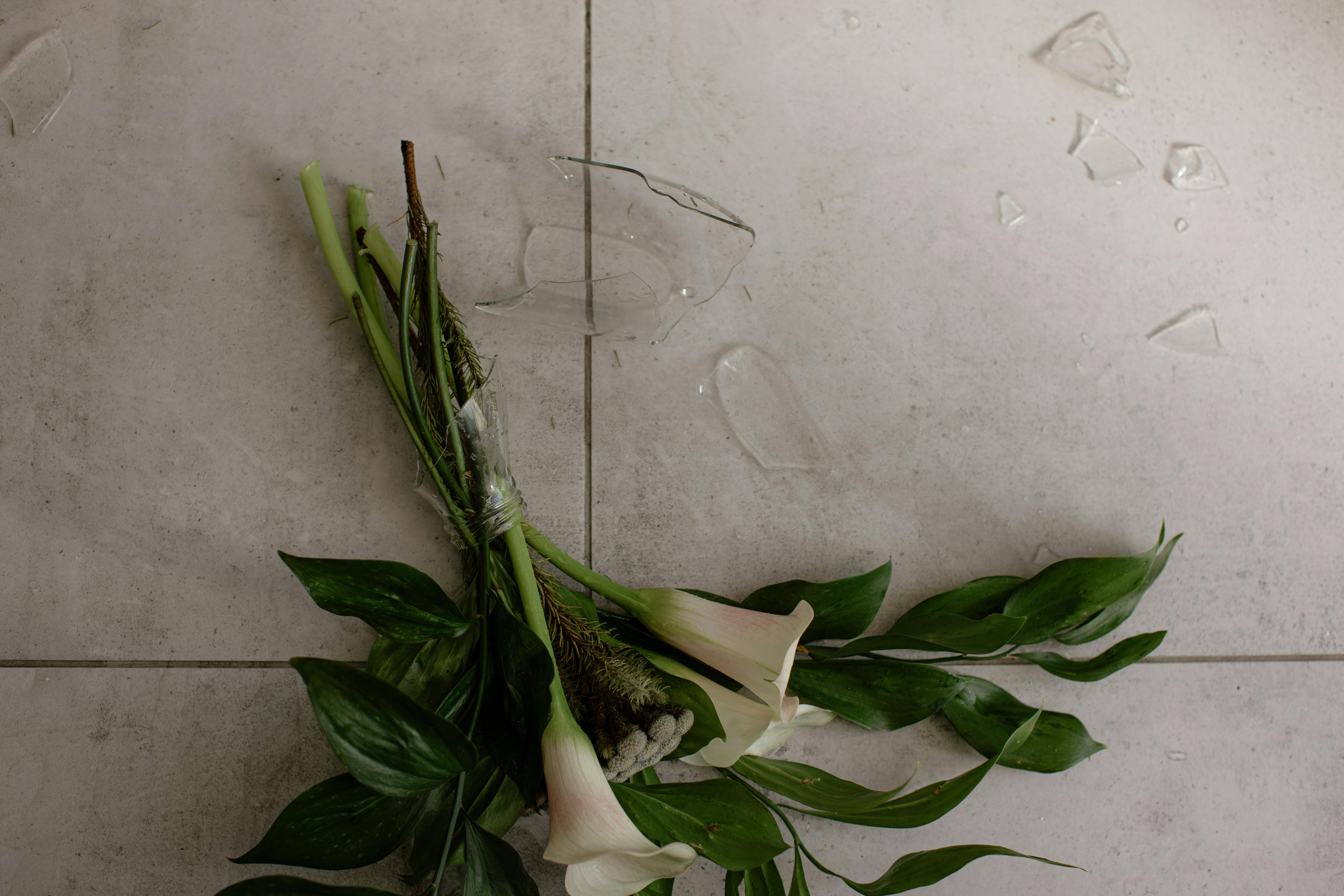 Blog Images