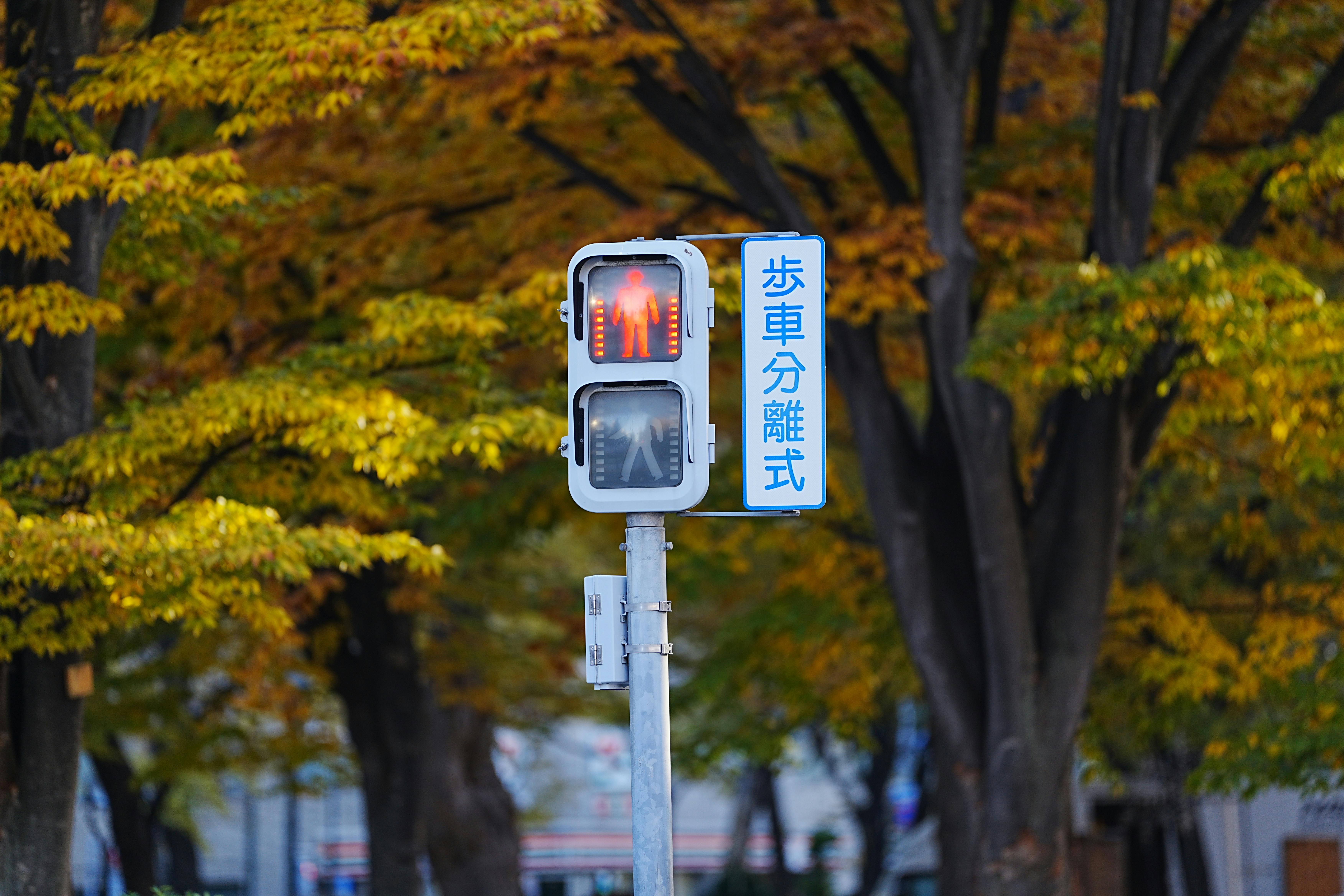 Blog Images